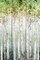 Enlightened Moment II Poster Print by Isabelle Z - Item # VARPDXEZ031A